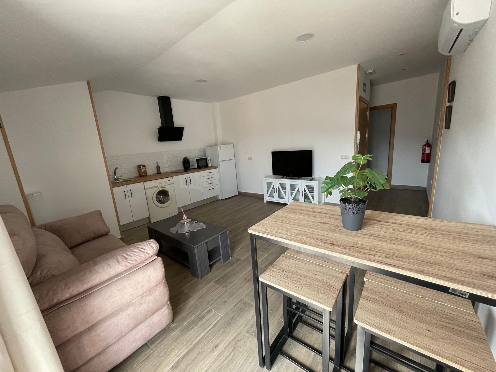 Salon y cocina del apartamento ORIGEN